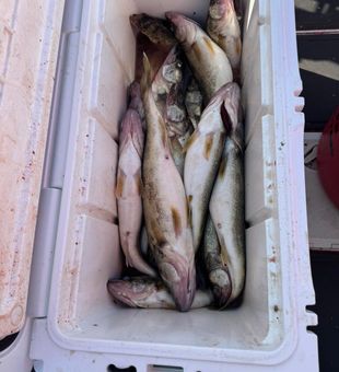 Weekend fishing trips with Captain Rick