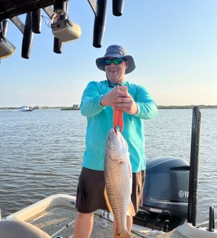 Redfish on the line in Cocodrie, United States.