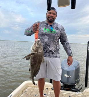 Black drum fishing in Cocodrie, LA!