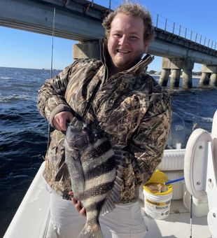 Sheepshead  Catch - Ocean Springs, MS.