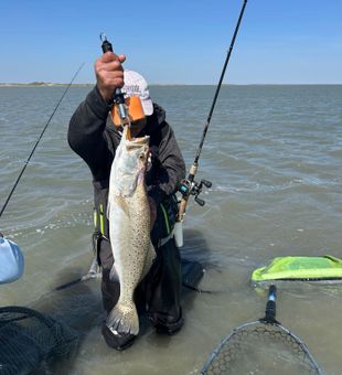 Beautiful speckled trout from Rockport TX waters!