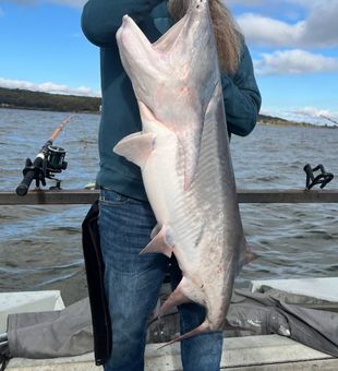 Massive paddlefish catch! 🐟🎣