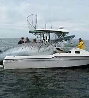 Big catches, bigger memories!