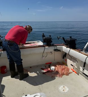 Fresh catch ready for cleaning in Mexico NY waters!