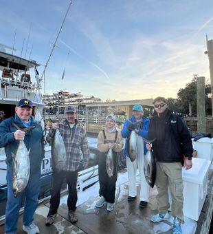 Awesome catches!