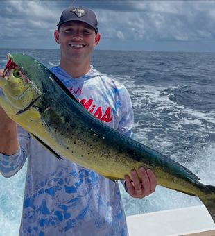 Hook a mahi mahi, make your day unforgettable!