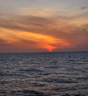 Clear skies and calm waters make for epic deep sea adventures!