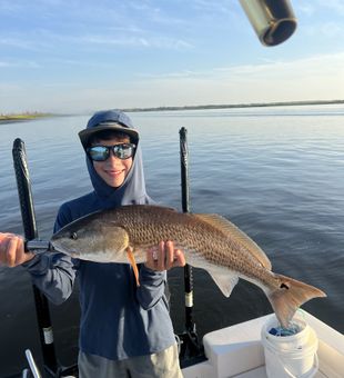 Chasing tails in the shallows