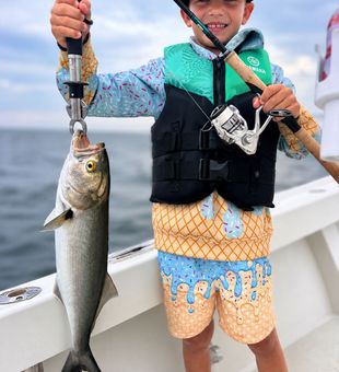 Nice Barnegat Light bluefish from today's charter!
