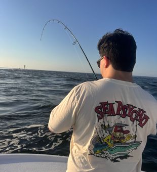 Fish on! Another successful catch in Barnegat Light waters!
