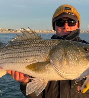 Beautiful Barnegat Light striped bass making the trip worthwhile!