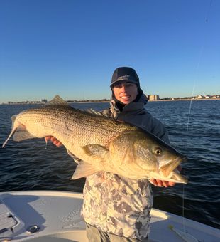 Beautiful Barnegat Light striped bass on the boat!