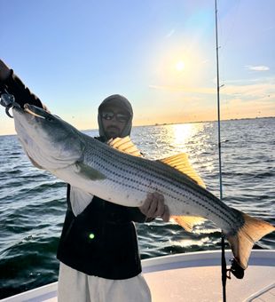 Beautiful Barnegat Light striped bass on the boat!