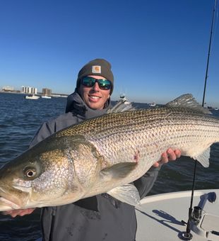 Trophy striped bass from Barnegat Light waters!