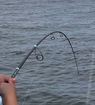 Rod bent deep on a Barnegat Light charter!