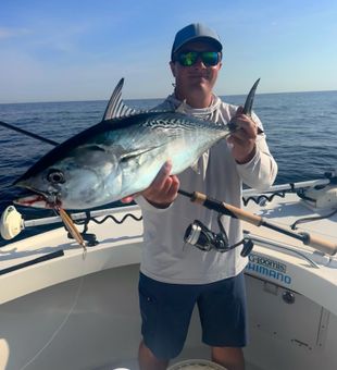Little tunny action in Barnegat Light NJ waters!