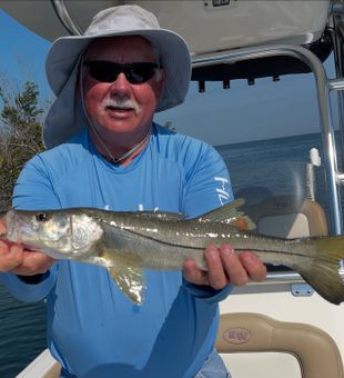 Young snook, experienced Angler.