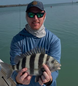 Beautiful Sheepshead catch