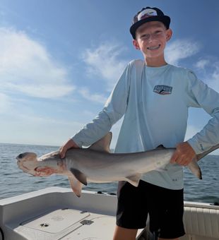 Big Hammerhead Shark Catch in Charleston, SC