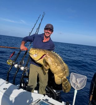 Monster Goliath Grouper from Charleston SC waters!