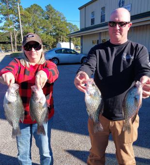 Slab crappie coming over the rail