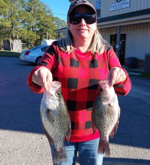 Nice pair of Eufaula crappie from Alabama waters!
