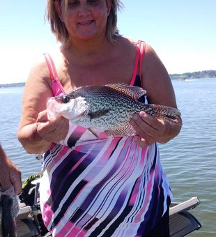 Nice crappie from Eufaula AL waters!