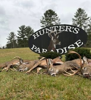 Deer Stack! - Millboro, VA.