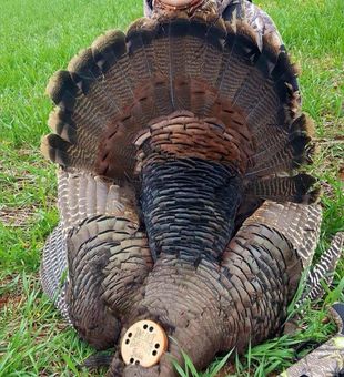 Turkey Guided hunt, memories for life