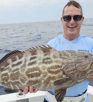 Grouper delight on your fishing excursion.