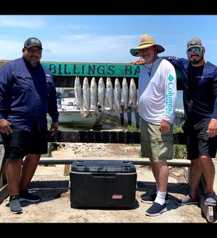 Sharing our Sea Trout Catches from Corpus Christi
