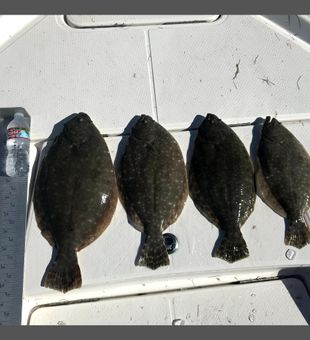 Flounder Season!! Fishing Corpus Christi