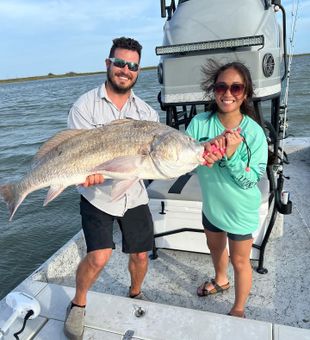 Monster black drum hauled in from Corpus Christi waters!
