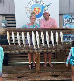 Solid speckled trout limits from Corpus Christi waters!