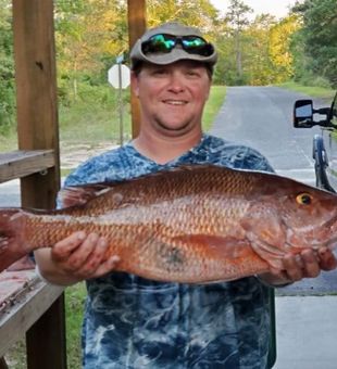 Panama's Finest Mutton Snapper 