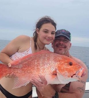 Panama Snapper Spectacle
