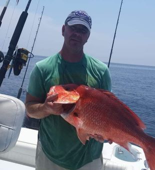 Red Grouper Delights In Panama City, FL