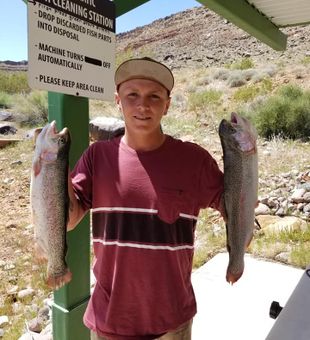 Double Rainbow Trout!