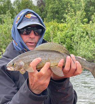 Trophy catch in Alaska’s wild - Arctic Graylings