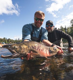 Wild Alaska fish, wild Alaska fun