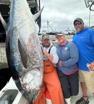 Bluefin Catch Of The Day In Duxbury, MA