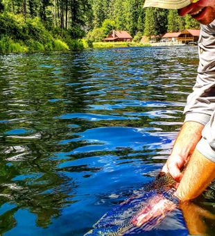 Horseshoe Lake, Washington