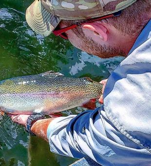  Rainbow Trout from Horseshoe Lake