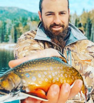 Brook Trout  from Horseshoe Lake