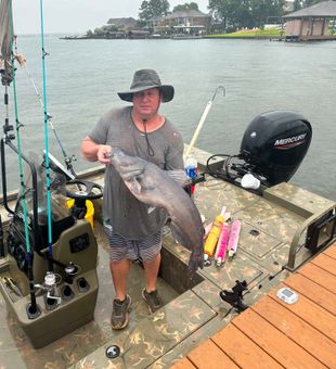 Blue catfish fishing success in Willis TX!