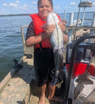 Nice blue catfish caught in Willis TX!