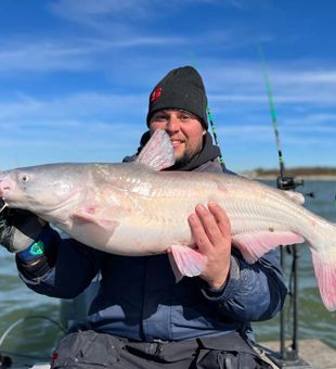 Nice blue catfish from Cayuga TX waters!