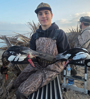 Two Common Goldeneye ducks from Port Aransas waters.