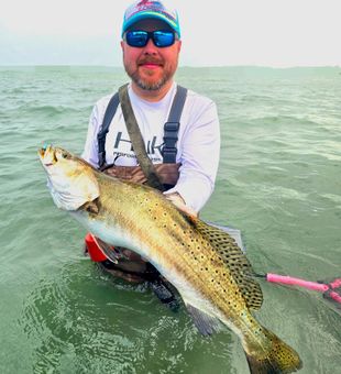 Massive speckled trout catch in Port Mansfield!