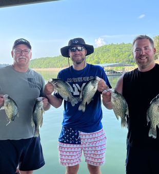 July crappie bull shoals